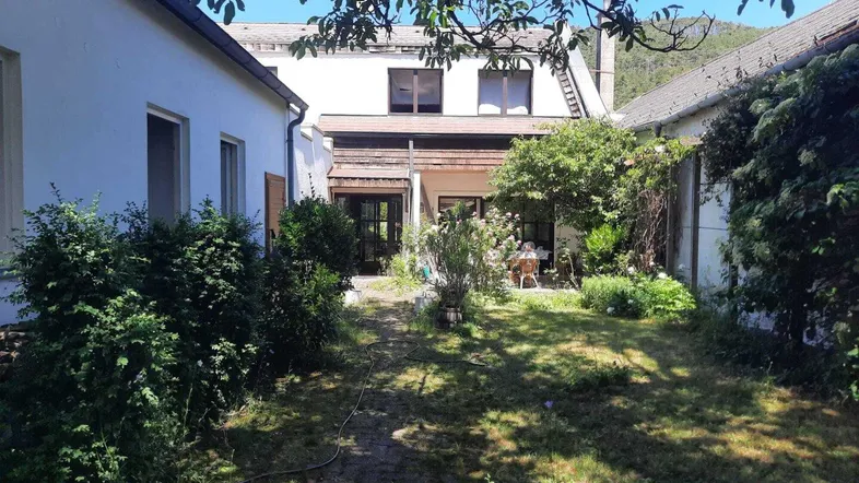 Blick auf den hinteren Gartenbereich des Hauses mit viel Grün und einer kleinen Terrasse.