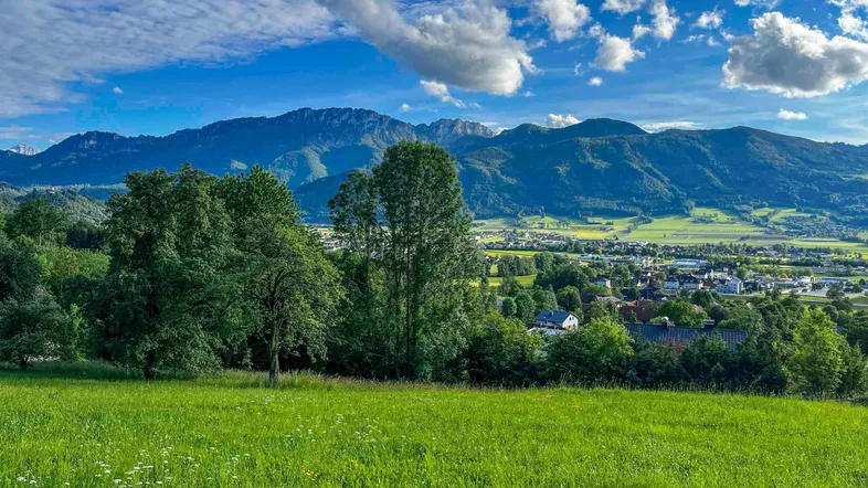 Weitläufige grüne Landschaft mit Blick auf eine Siedlung und majestätische Berge im Hintergrund unter blauem Himmel.