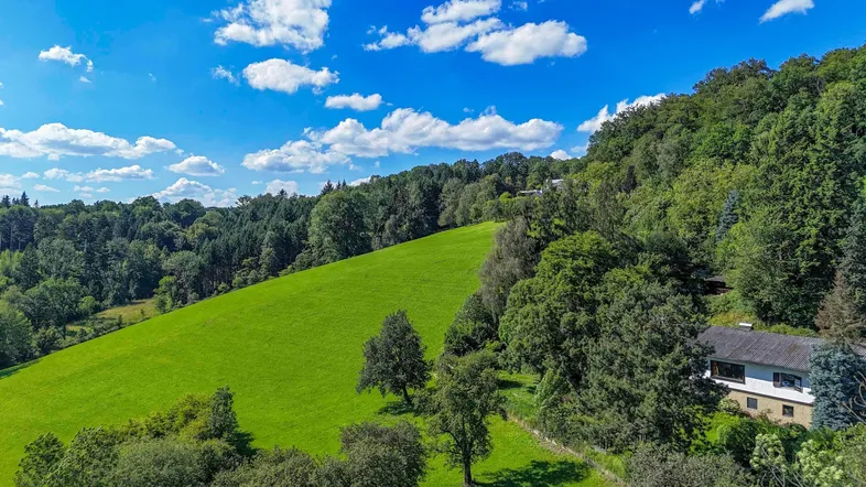 Luftaufnahme eines Hauses am Hang, umgeben von üppigen grünen Wäldern und einer weiten Wiese unter blauem Himmel.