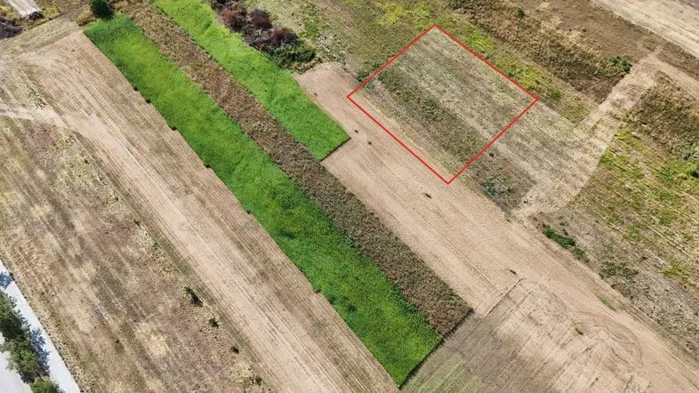 Luftaufnahme von landwirtschaftlichen Feldern mit einem rot markierten Grundstück unter klarem Himmel.