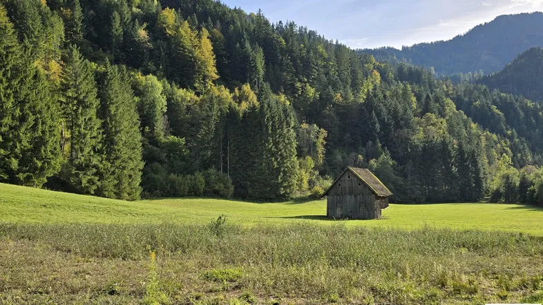 Grundstück