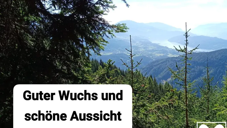 Panoramablick über bewaldete Hügel und ein Tal mit einem See und fernen Bergen.