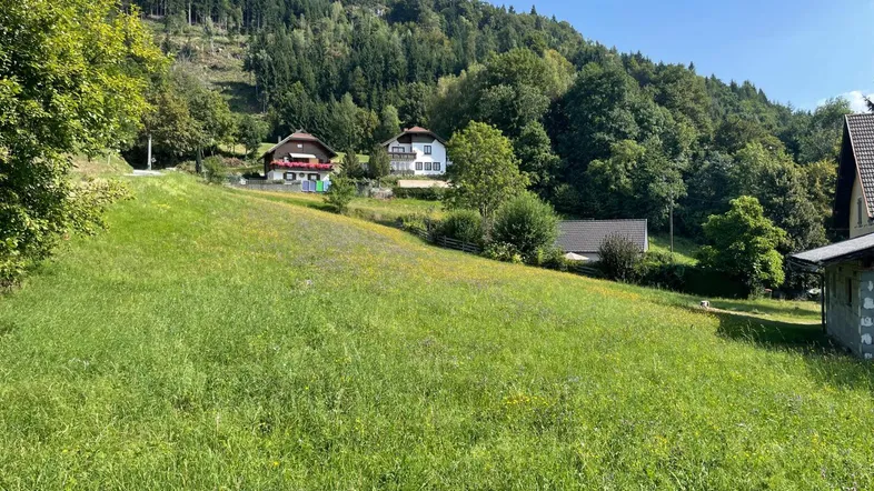 sonniger Ausblick