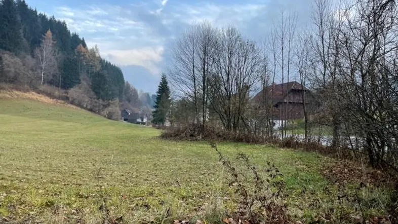 Weitläufige grüne Wiese mit bewaldeten Hügeln und vereinzelten Häusern im Hintergrund unter bewölktem Himmel.