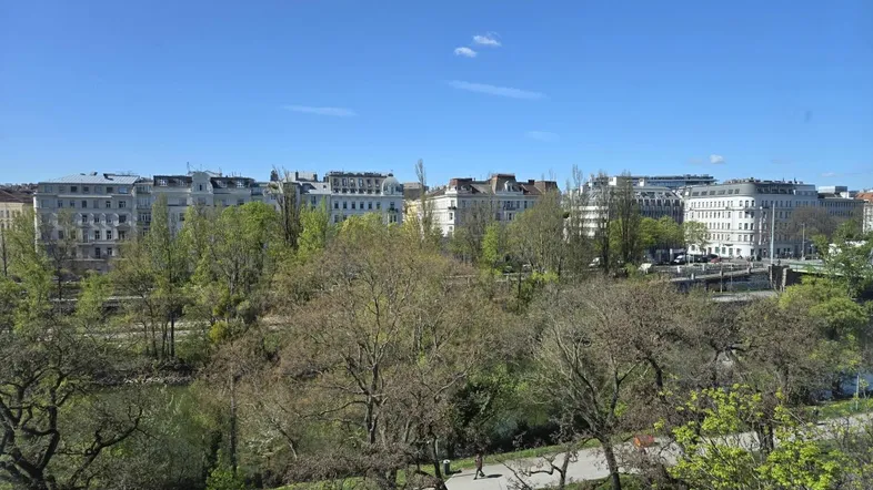 Weitläufiger Blick über einen Fluss, grüne Bäume und die Stadtbebauung unter blauem Himmel.