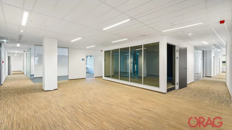 Geräumiges, modernes Büro mit Teppichboden und Glaswänden, ideal für offene Arbeitsbereiche.