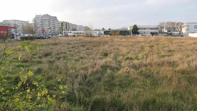 Weitläufiges unbebautes Grundstück mit hohem Gras und städtischer Bebauung im Hintergrund.