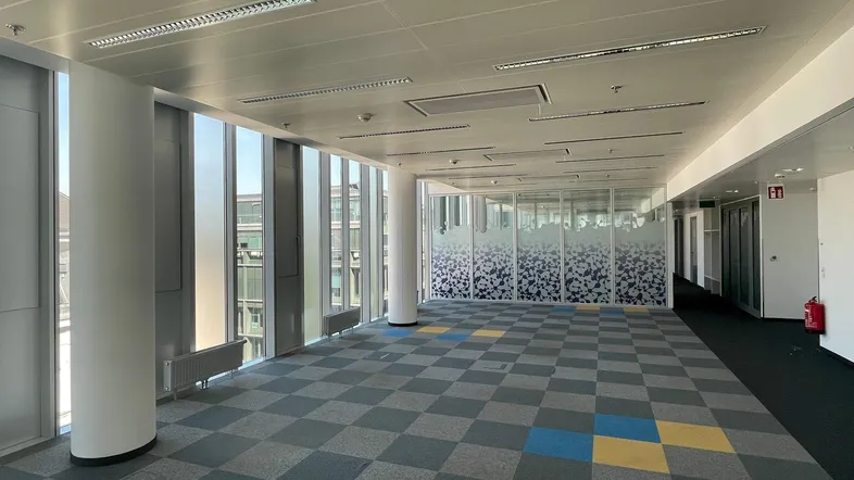 Großes, leeres Büro mit Teppichboden, raumhohen Fenstern und modernen Glasabtrennungen für eine flexible Raumgestaltung.