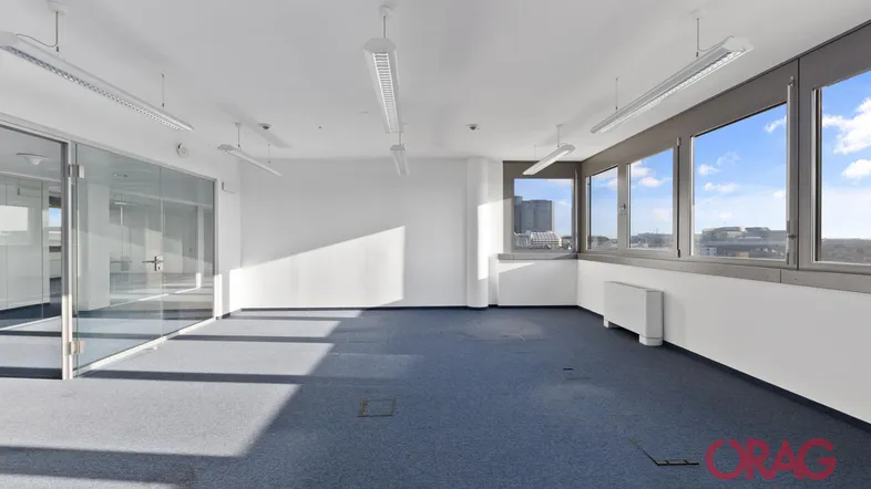 Geräumiges, leeres Büro mit blauen Teppichböden, Glaswänden und großen Fenstern mit Stadtblick.