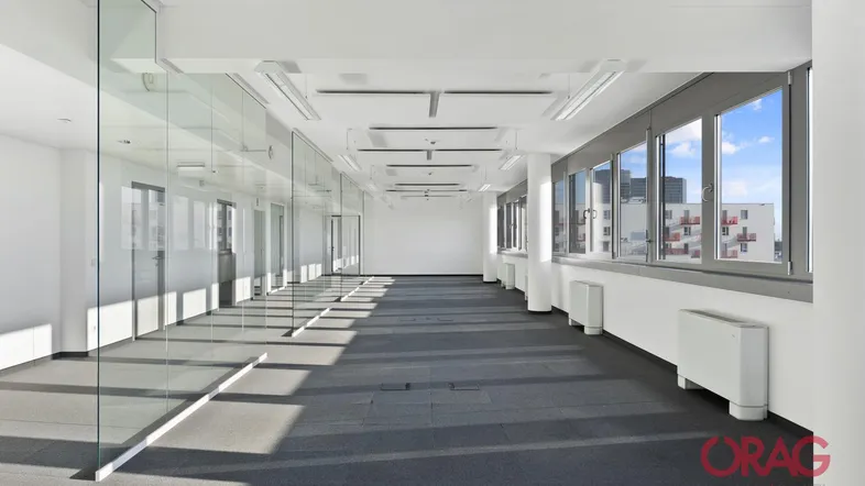 Großes, helles Büro mit Teppichboden, Glaswänden und weitem Ausblick durch die Fenster.
