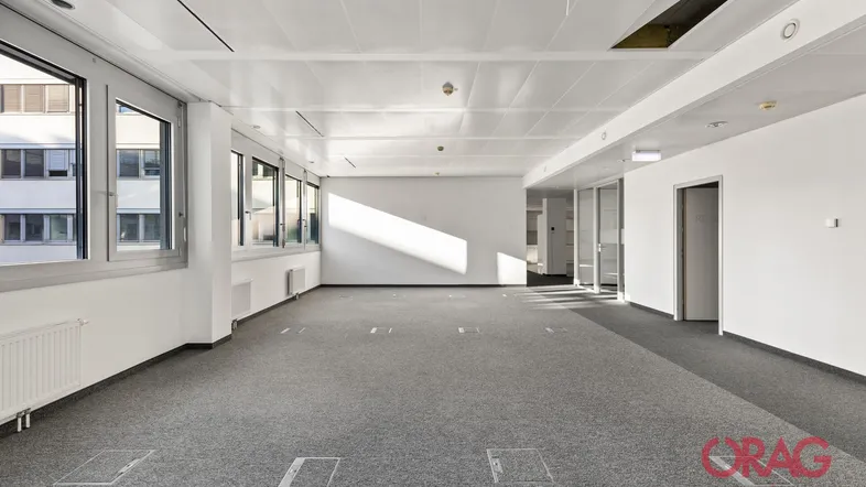 Geräumiges, leeres Büro mit großen Fenstern, grauem Teppichboden und viel Tageslicht.