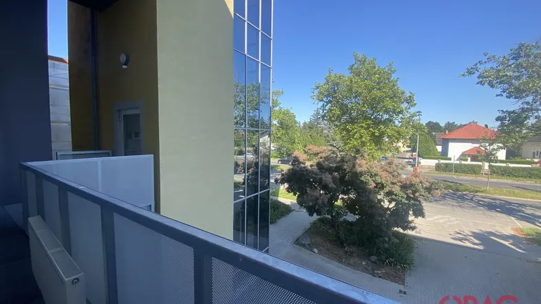 Blick von einem Balkon auf die Straße, umliegende Gebäude und viel Grün an einem sonnigen Tag.