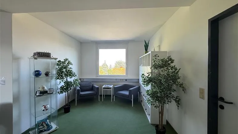Heller Büroraum mit grüner Teppichboden, zwei Sesseln und einem Fenster mit Blick ins Grüne.