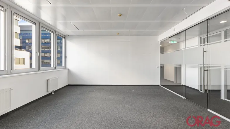 Geräumiges, leeres Büro mit Teppichboden, großen Fenstern und modernen Glaswänden für flexible Arbeitsbereiche.