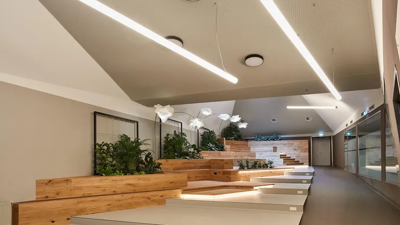 Moderner Gemeinschaftsbereich mit gestuften Sitzgelegenheiten, Holzverkleidungen und integrierten Pflanzenbeeten.