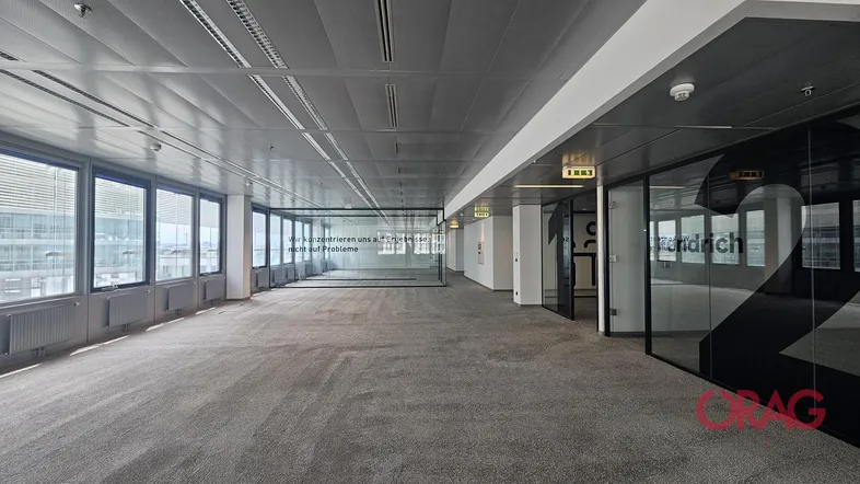 Großes, offenes Büro mit Teppichboden, Glaswänden und vielen Fenstern für natürliches Licht.