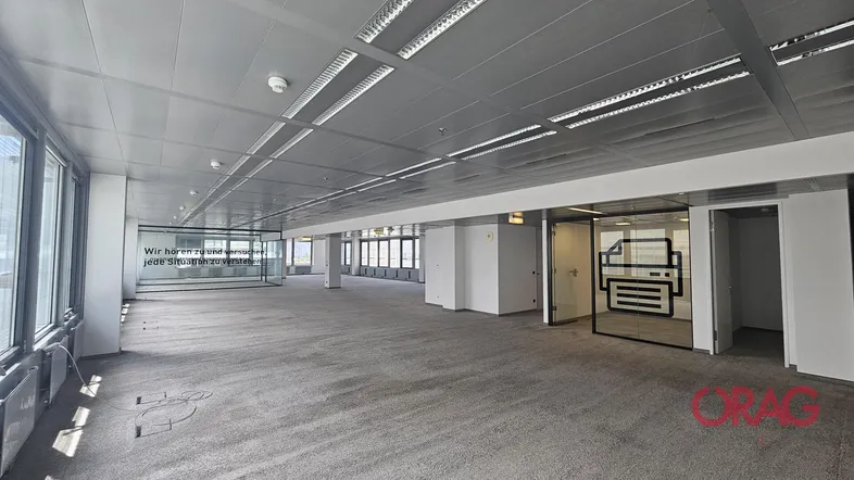 Großes, offenes Büro mit Teppichboden, vielen Fenstern und Glaswänden für separate Bereiche.