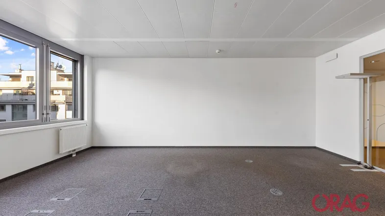 Helles, leeres Büro mit Teppichboden, großen Fenstern und abgehängter Decke, bereit zur individuellen Gestaltung.
