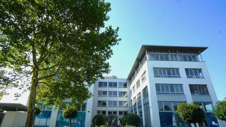 Modernes Bürogebäude mit großen Fenstern und einem Baum im Vordergrund unter blauem Himmel.