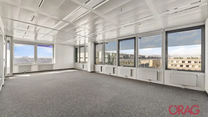 Geräumiges, leeres Büro mit Teppichboden, großen Fenstern und Blick auf die Stadt.