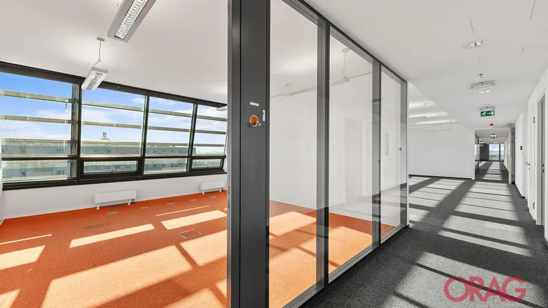 Heller Bürobereich mit großen Fenstern, orangefarbenem Teppichboden und Glaswänden zum Flur.