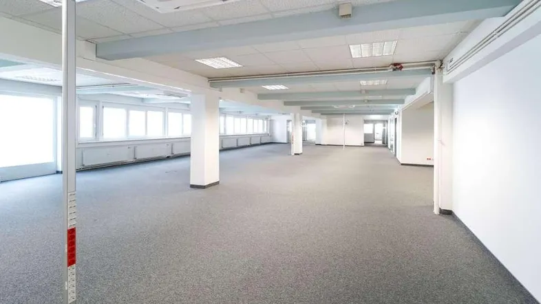 Großes, offenes Büro mit grauem Teppichboden, vielen Fenstern und abgehängter Decke.