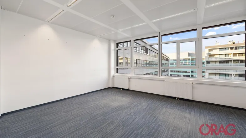 Heller Büroraum mit großen Fenstern, grauem Teppichboden und Blick auf umliegende Gebäude.