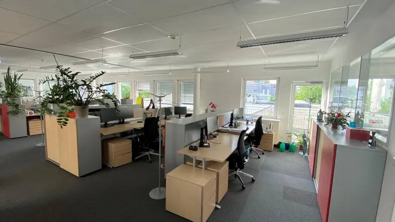 Großraumbüro mit mehreren Arbeitsplätzen, Teppichboden und Blick ins Grüne durch die Fenster.
