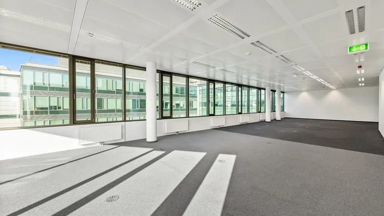 Großer, heller Büroraum mit Teppichboden, vielen Fenstern und moderner Deckenbeleuchtung.