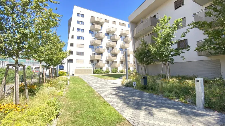 Moderne Wohngebäude mit gepflegten Grünflächen und einem gepflasterten Weg.