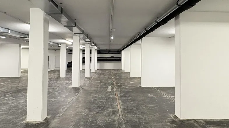 Großer, leerer Kellerraum mit vielen weißen Säulen, Betonboden und sichtbaren Installationen an der Decke.
