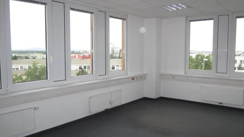 Heller Büroraum mit großen Fenstern, grauem Teppichboden und abgehängter Decke.