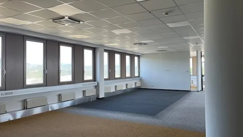 Geräumiges, leeres Büro mit Teppichboden, vielen Fenstern und abgehängter Decke, bereit zur individuellen Gestaltung.