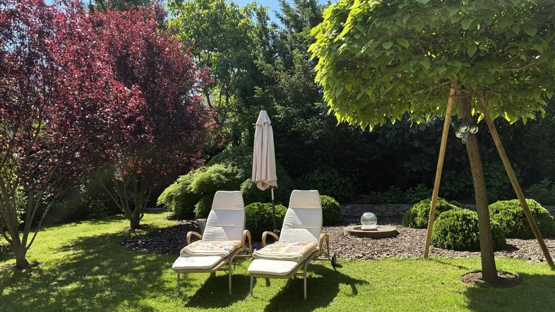 Sonnige Gartenoase mit bequemen Liegestühlen und gepflegter Rasenfläche, umgeben von üppigem Grün.