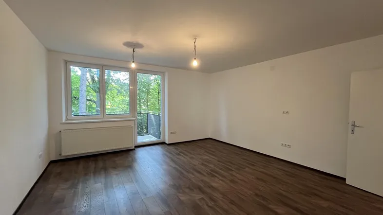 Helles, leeres Wohnzimmer mit dunklem Laminatboden und Zugang zu einem kleinen Balkon.