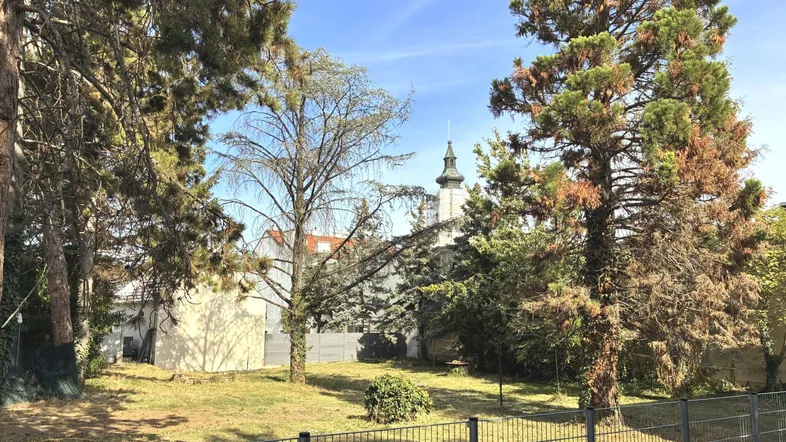 Grundstück mit Bäumen und Blick auf umliegende Gebäude unter blauem Himmel.