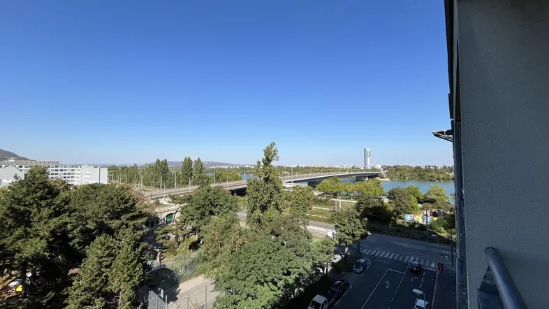 Weitläufiger Blick über die Donau, eine Brücke und die grüne Umgebung der Stadt.