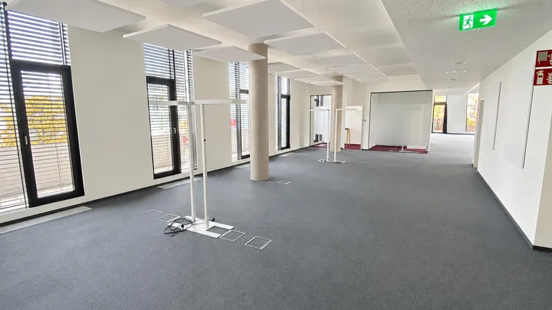 Großer, leerer Büroraum mit grauem Teppichboden, vielen Fenstern und Akustikdeckenplatten.
