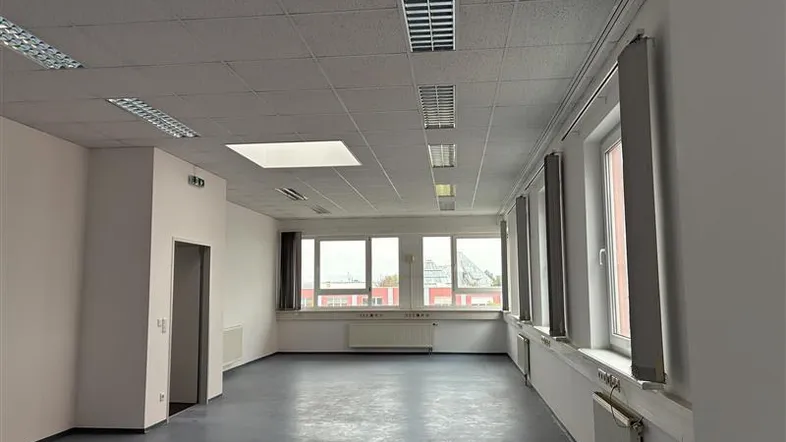 Leerer Büroraum mit vielen Fenstern, abgehängter Decke und graublauem Bodenbelag, ideal für gewerbliche Nutzung.