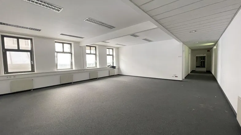 Großes, leeres Büro mit Teppichboden, vielen Fenstern und abgehängter Decke, bereit zur Nutzung.