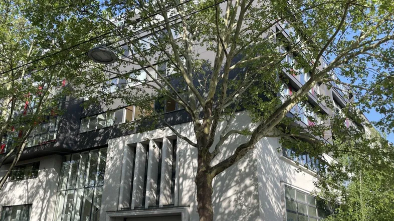 Modernes Gebäude mit großen Fenstern und Bäumen im Vordergrund, das eine städtische Umgebung zeigt.