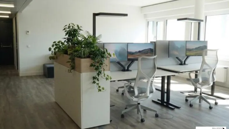 Heller, offener Bürobereich mit modernen Arbeitsplätzen, ergonomischen Stühlen und Pflanzen als natürliche Raumteiler.
