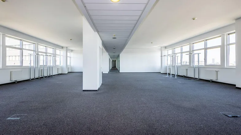 Großes, leeres Büro mit Teppichboden, vielen Fenstern und einer abgehängten Decke mit Beleuchtung.