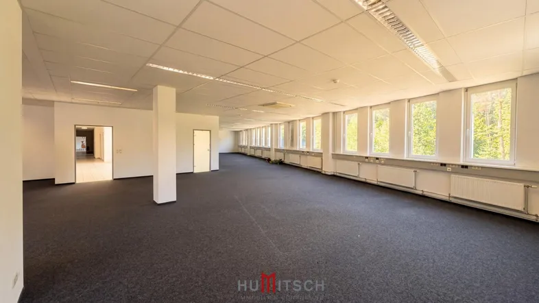 Großer, leerer Büroraum mit Teppichboden, vielen Fenstern und abgehängter Decke, ideal für flexible Gestaltung.