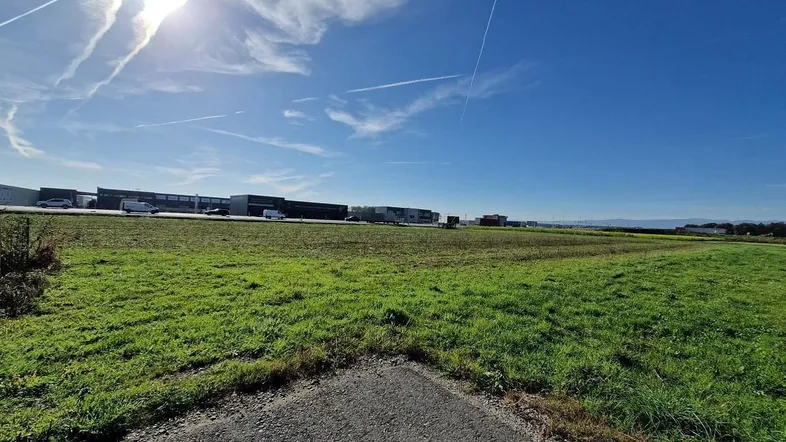 Weitläufiges grünes Feld unter blauem Himmel mit Industriegebäuden im Hintergrund und heller Sonneneinstrahlung.