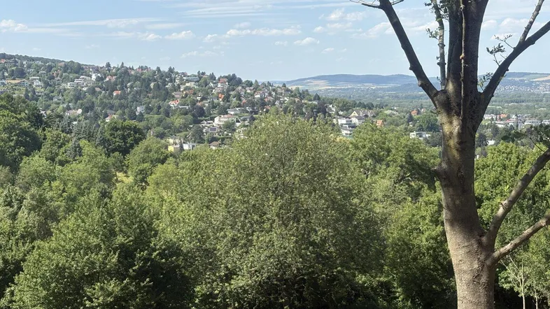Weitläufiger Blick über eine grüne Hügellandschaft mit Siedlungen am Horizont unter blauem Himmel.