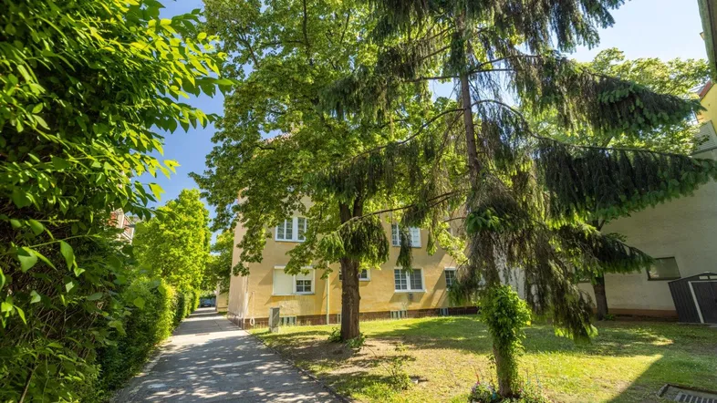 Gelbes Mehrfamilienhaus umgeben von viel Grün und Bäumen mit einem gepflasterten Weg.