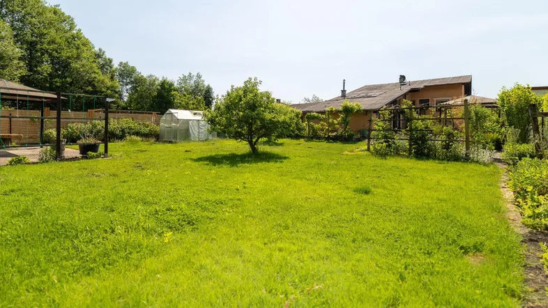 Weitläufige Rasenfläche im Garten mit Obstbaum und Gewächshaus im Hintergrund.