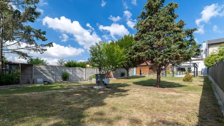 Geräumiger Gartenbereich mit Rasenfläche und hohen Bäumen, ideal für Entspannung im Freien.