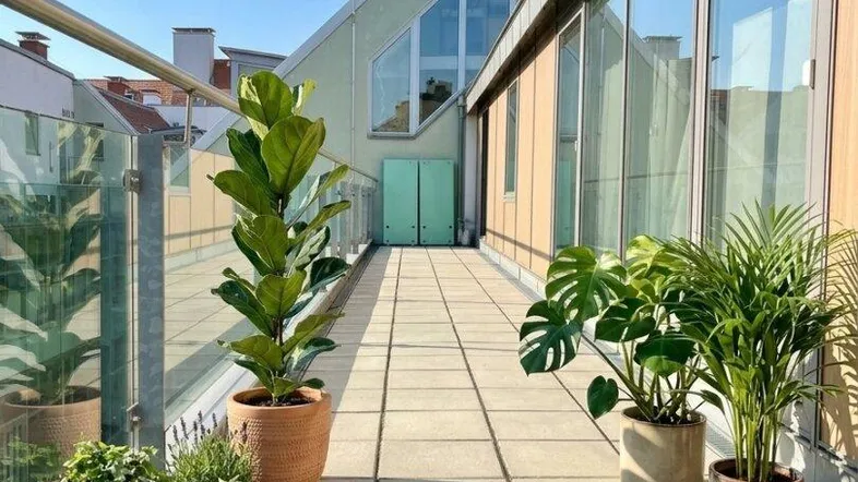 Lange, sonnige Terrasse mit modernen Fliesen, Glasgeländer und Blick auf die Gebäudefassade mit großen Fenstern.